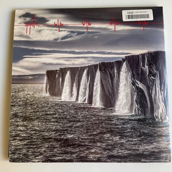 Vinyl Record Pearl Jam Gigaton, for parts only! - Picture 2 of 12